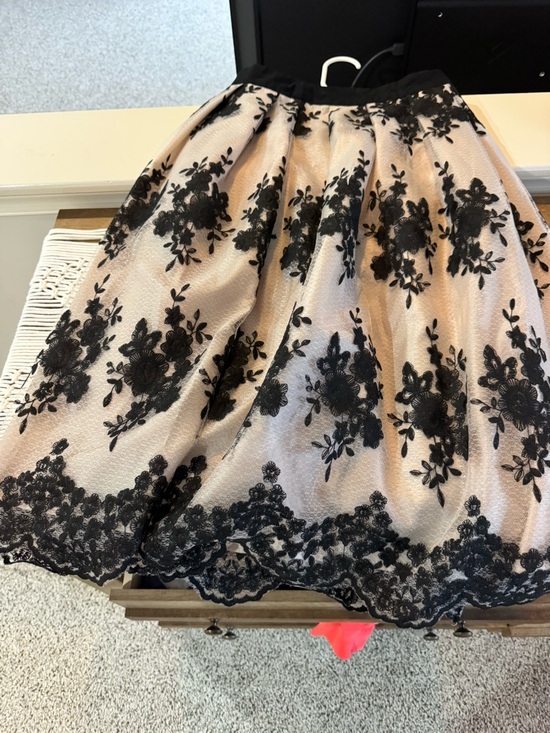 Jealous Tomato Dresses & Skirts - Jealous Tomato Black Lace Overlay Skater Skirt on Blush